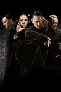 Poster to the movie "The Grandmaster" #531988
