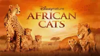 Backdrop to the movie "African Cats" #999614