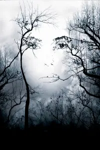 Poster to the movie "Premonition" #708330