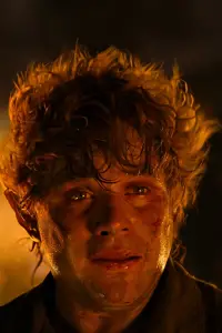 Poster to the movie "The Lord of the Rings: The Return of the King" #1014264