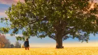 Backdrop to the movie "The Lovely Bones" #742570