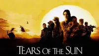 Backdrop to the movie "Tears of the Sun" #968409