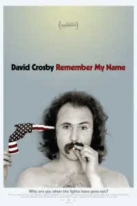 Poster to the movie "David Crosby: Remember My Name" #1002201