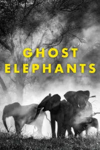 Poster to the movie "Ghost Elephants" #670884