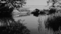 Backdrop to the movie "To Kill a Child" #788159