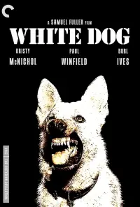 Poster to the movie "White Dog" #1099059