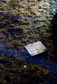 Poster to the movie "Soft Side" #1144026