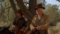 Backdrop to the movie "Back to the Future Part III" #778191