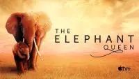 Backdrop to the movie "The Elephant Queen" #1015284