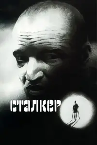 Poster to the movie "Stalker" #734119