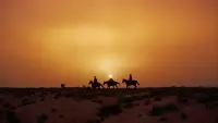 Backdrop to the movie "The Searchers" #692274