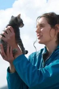 Poster to the movie "Sorry, Baby" #1004422