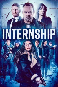 Poster to the movie "The Internship" #508275