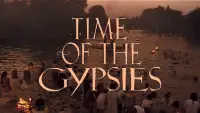 Backdrop to the movie "Time of the Gypsies" #1131870