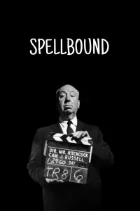 Poster to the movie "Spellbound" #726805