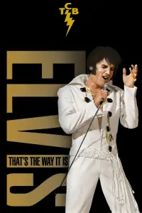 Poster to the movie "Elvis: That