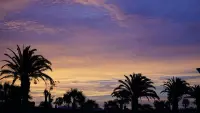 Backdrop to the movie "One Glorious Sunset" #722021