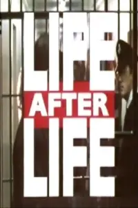 Poster to the movie "Life After Life" #1152171
