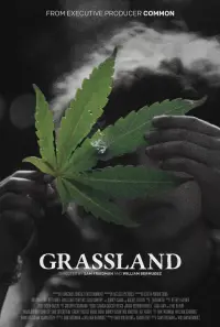 Poster to the movie "Grassland" #1020891