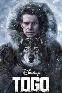 Poster to the movie "Togo" #720652