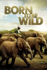 Poster to the movie "Born to Be Wild" #1177263