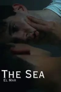Poster to the movie "The Sea" #689704