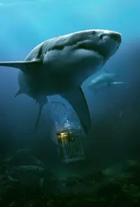 Poster to the movie "47 Meters Down" #691509