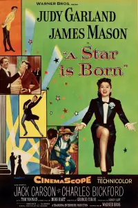 Poster to the movie "A Star Is Born" #1042536