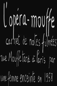 Diary of a Pregnant Woman