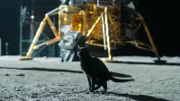 Backdrop to the movie "Fly Me to the Moon" #701286