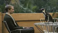 Backdrop to the movie "The Penguin Lessons" #816115