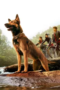 Poster to the movie "Max" #769632