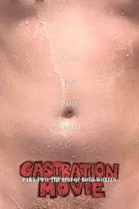 Poster to the movie "Castration Movie Anthology ii. The Best of Both Worlds" #637963