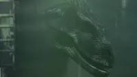 Backdrop to the movie "Jurassic Park III" #740389