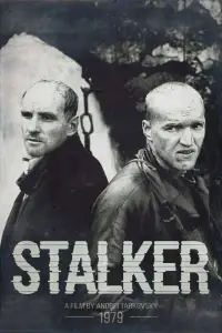 Poster to the movie "Stalker" #734154
