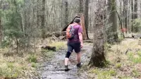 Backdrop to the movie "Nathan And His Dad Go Hiking" #710229