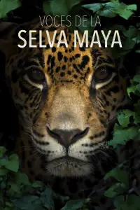 Voces de la Selva Maya: Una Batalla por la Vida.