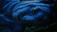 Backdrop to the movie "Avatar" #801244