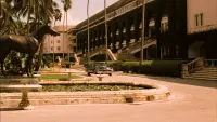 Backdrop to the movie "The Godfather Part II" #790617