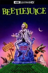 Poster to the movie "Beetlejuice" #927600