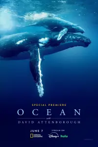Poster to the movie "Ocean with David Attenborough" #617855