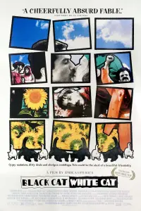 Poster to the movie "Black Cat, White Cat" #799072