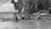 Backdrop to the movie "The Voyages of Matisse, Chasing Light" #891667