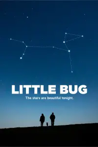 Little Bug