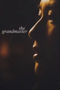 Poster to the movie "The Grandmaster" #1024143