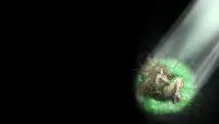 Backdrop to the movie "Mushi-Shi: The Next Chapter - Drops of Bells" #738270