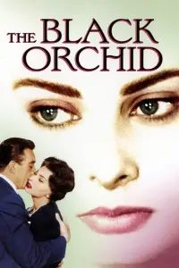 Poster to the movie "The Black Orchid" #995447