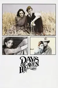Poster to the movie "Days of Heaven" #716432