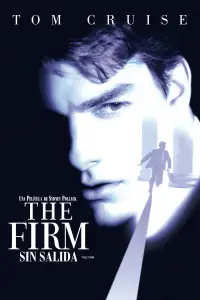 Poster to the movie "The Firm" #658567