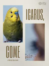 Poster to the movie "Icarus, Come" #617057